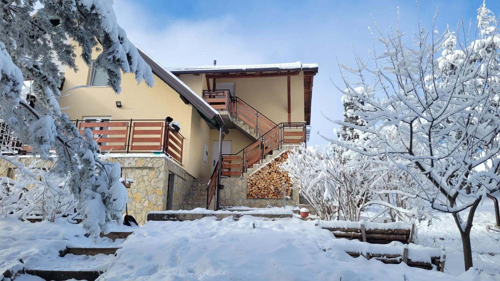 Zlatibor Apartmani Dm Tornik Экстерьер фото